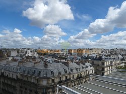 Viager appartement Paris 75116