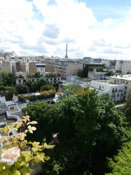 Viager appartement Paris 75116