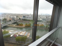 Viager appartement Paris 75015