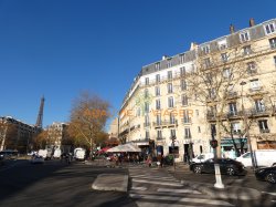 Viager appartement Paris 75007