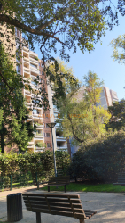 Viager appartement Maisons-alfort 94700