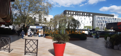 Viager appartement Maisons-alfort 94700