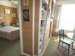 Viager appartement Paris 75015