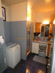Viager appartement Saint-mande 94160