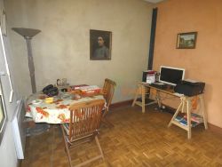 Viager appartement Nogent-sur-marne 94130