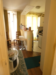 Viager appartement Paris 75011