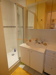 Viager appartement Maisons-alfort 94700