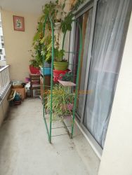 Viager appartement Paris 75019