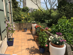 Viager maison Montreuil 93100