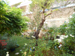 Viager maison Montreuil 93100