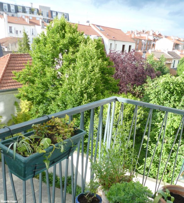 Viager Appartement  2 pices - 44.16m 94140 Alfortville