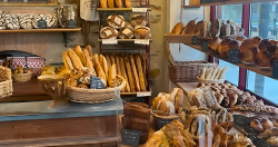 Vente local commercial Salon-de-provence 13300
