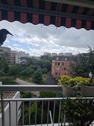 Vente appartement Paris 75012