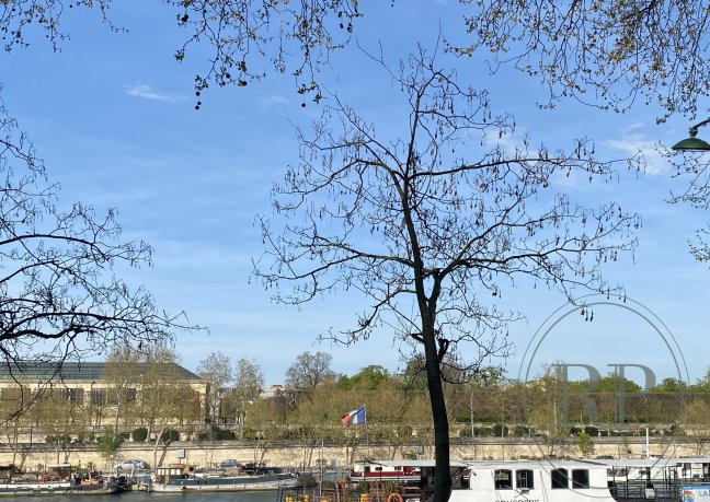 Vente Appartement  1 pice (studio) - 29.45m 75007 Paris