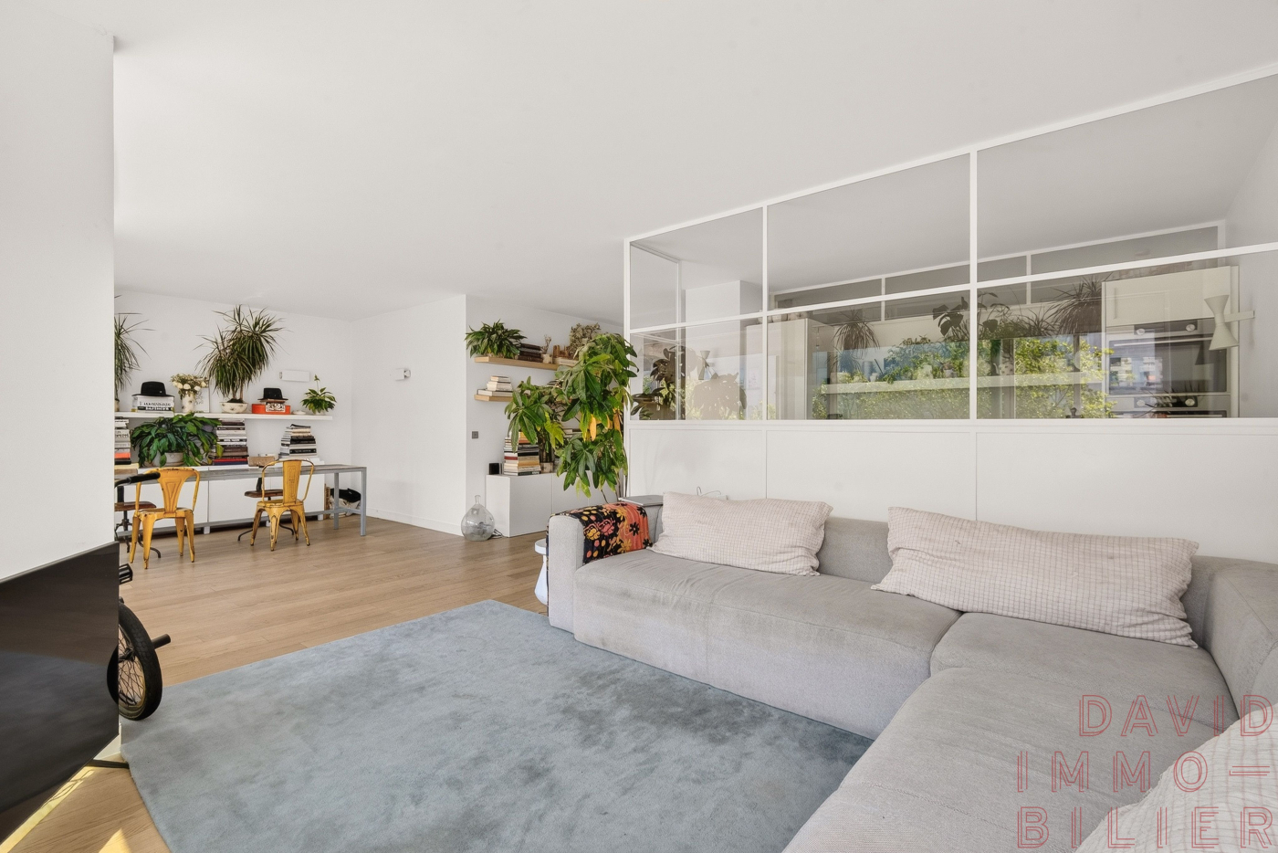 Agence immobilière de Davidimmo