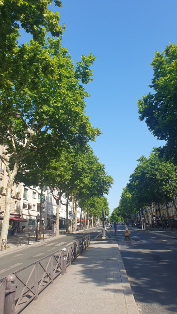 Vente Local commercial  5 pices - 60m 75006 Paris 6