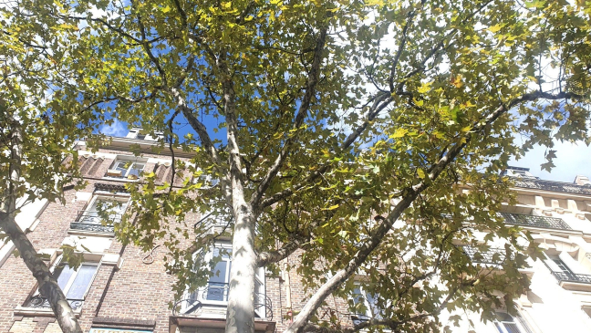 Vente appartement Paris 75005