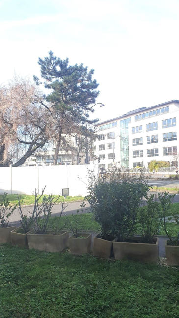 Location appartement Rueil Malmaison 92500