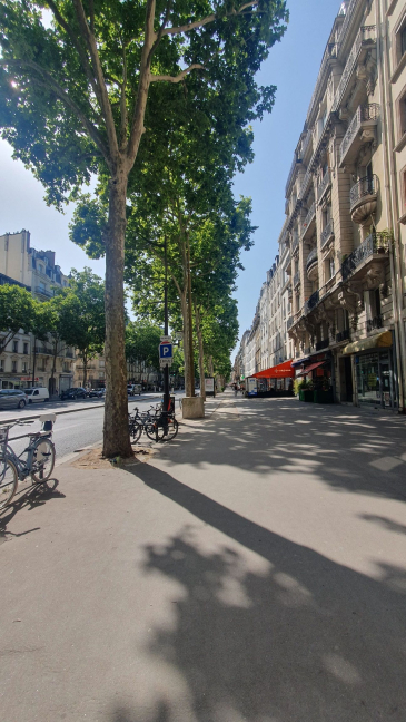 Location local commercial Paris 6 75006