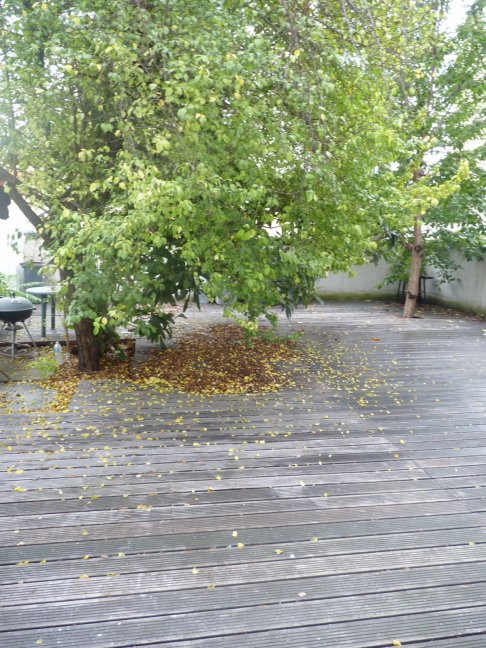 Location appartement Ivry Sur Seine 94200