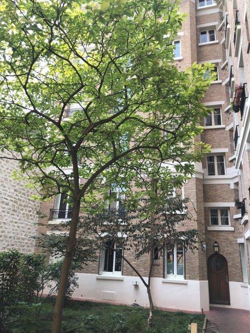 Location Appartement  1 pice (studio) - 31m 75006 Paris