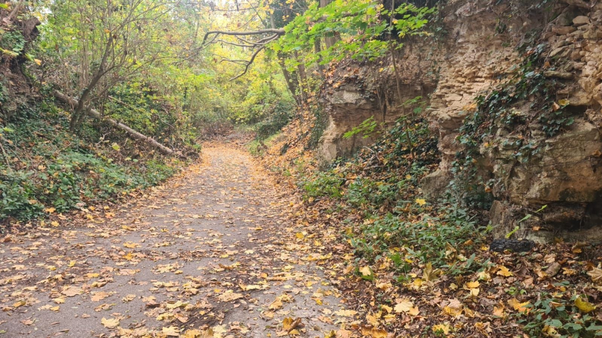 Vente Terrain  - 2750m 95620 Parmain