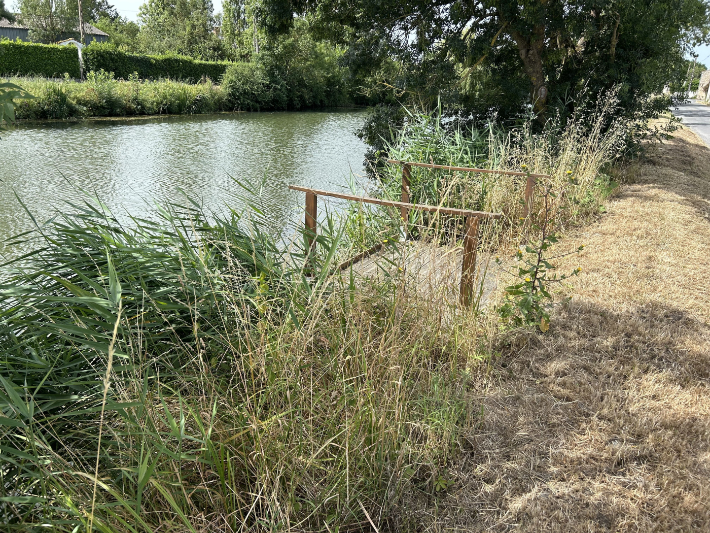 Agence immobilière de Complissimo