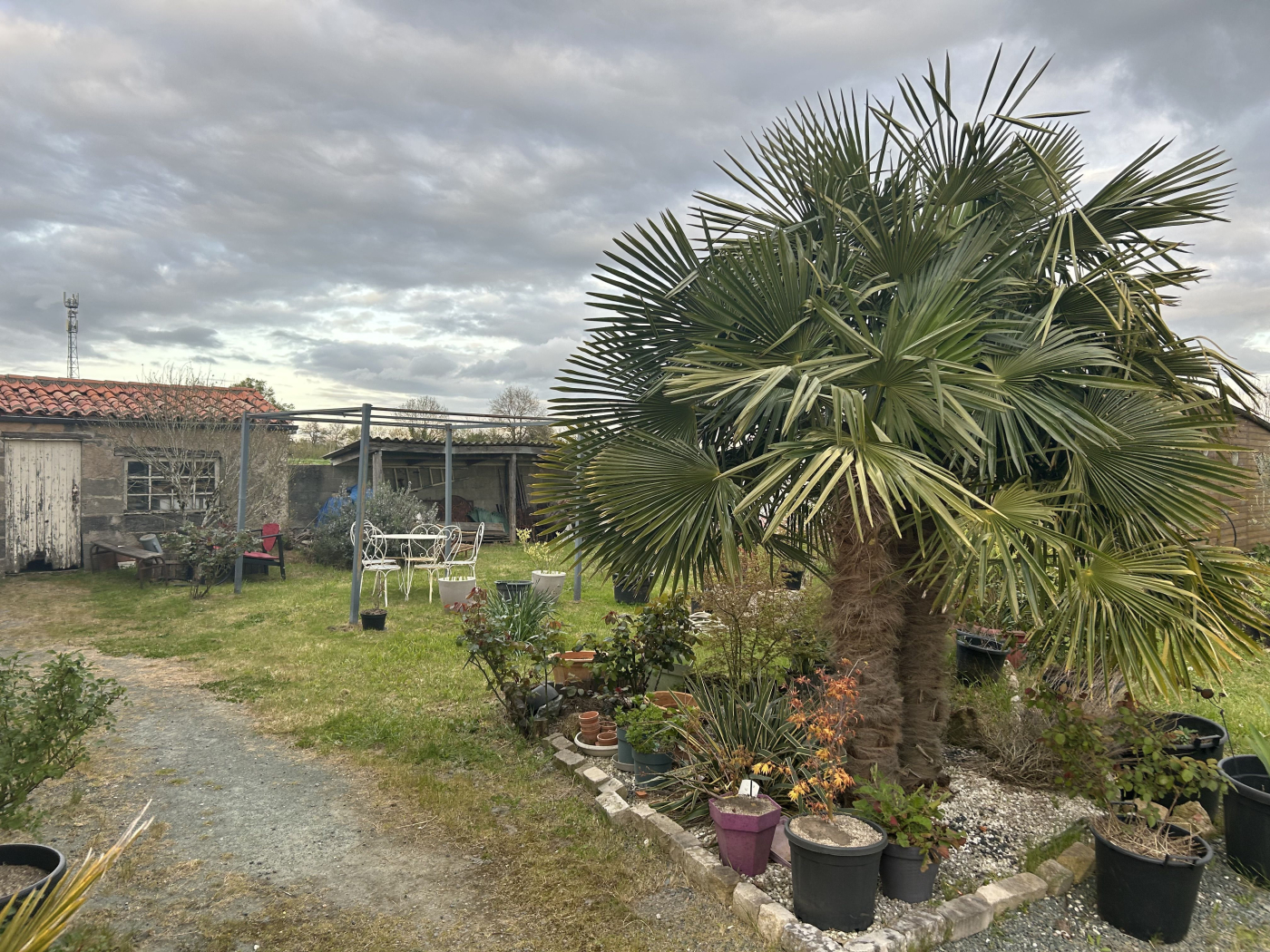 Agence immobilière de Complissimo