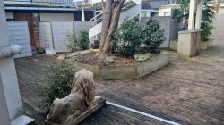 Location appartement Soisy-sous-montmorency 95230