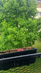 Location appartement Deuil-la-barre 95170
