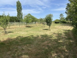 Vente maison Marans 17230