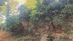 Vente terrain Parmain 95620