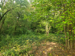 Vente terrain Parmain 95620