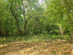 Vente terrain Parmain 95620