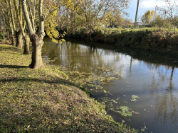 Vente maison L'ile-d'elle 85770