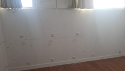 Location local commercial Argenteuil 95100