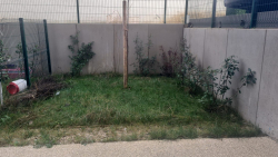 Location appartement Champagne-sur-seine 77430