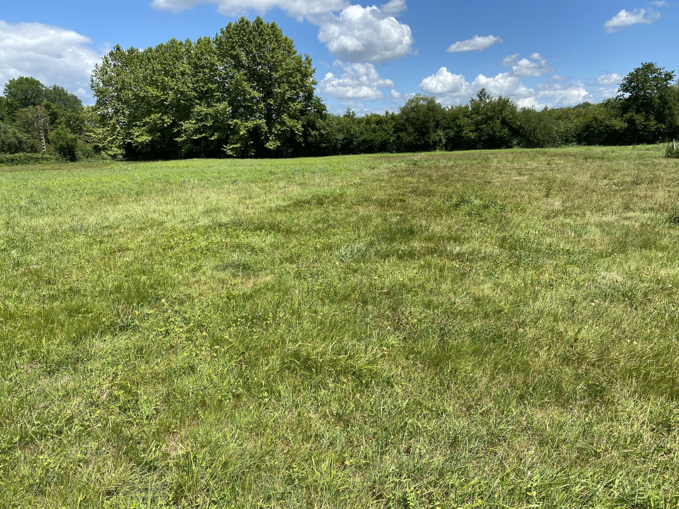 Agence immobilière de CPC Invest - Nay