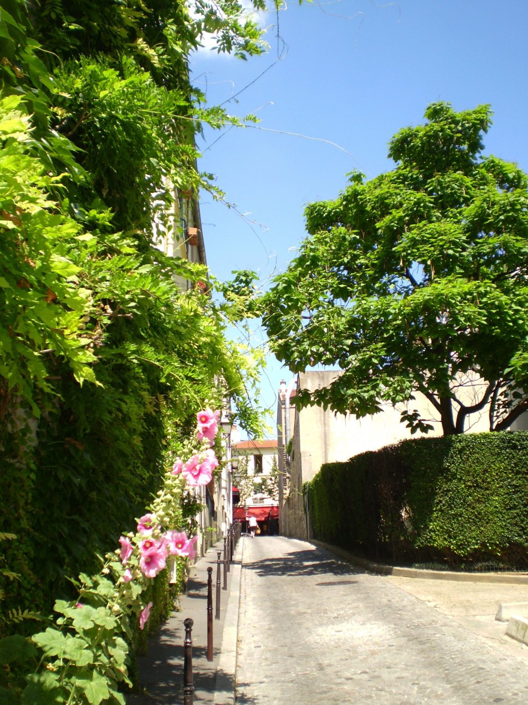 Agence immobilière de Conseil Rive Gauche