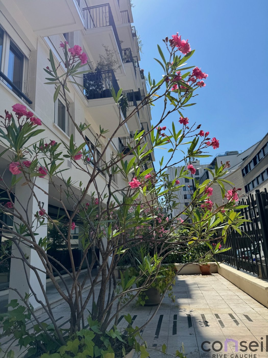 Agence immobilière de Conseil Rive Gauche