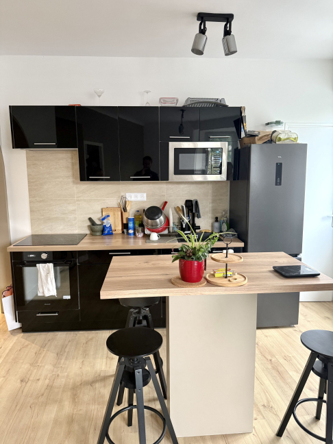 Location Appartement meubl 5 pices - 78.04m 94250 Gentilly