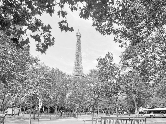 Location appartement Paris 75007