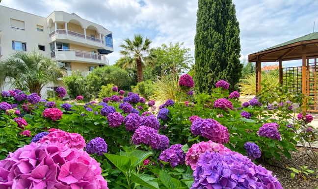 Vente appartement Arcachon 33120