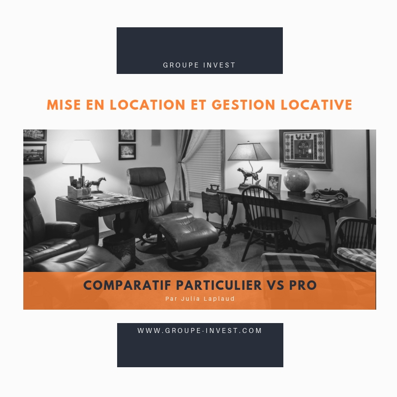 "PARTICULIER VS  PRO : mise en location et gestion locative"