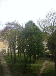 Location appartement  