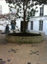 Vente appartement  