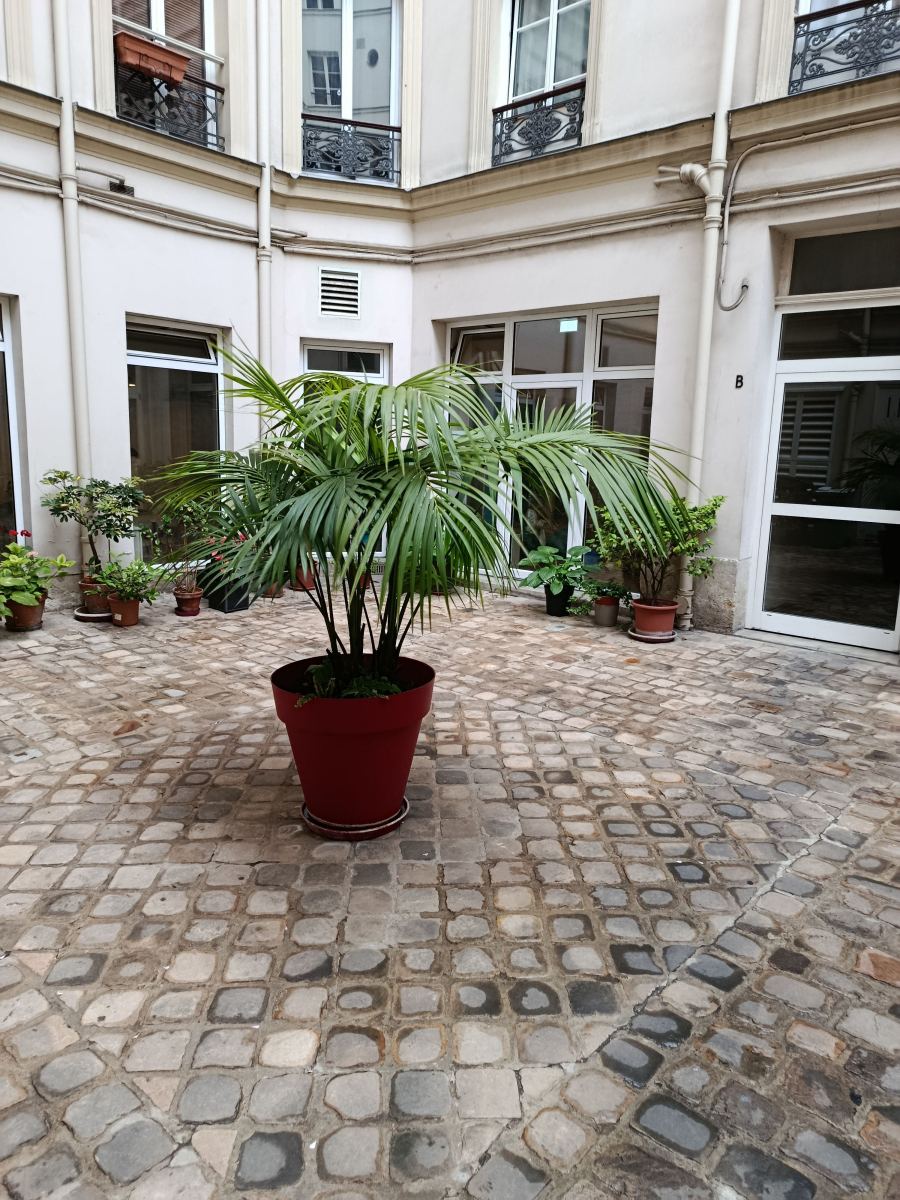 Location Appartement  1 pièce (studio) - 25m² 75011 Paris 11