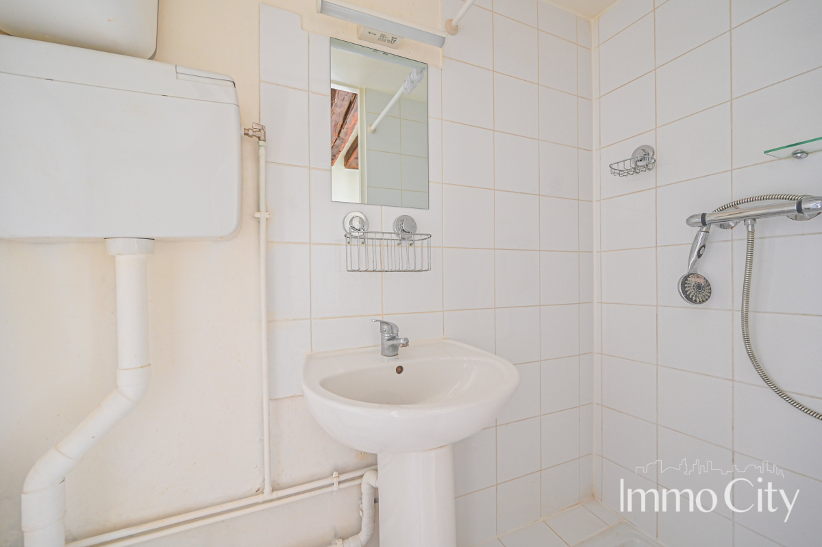 Location Appartement meublé 1 pièce (studio) - 16.92m² 75015 Paris