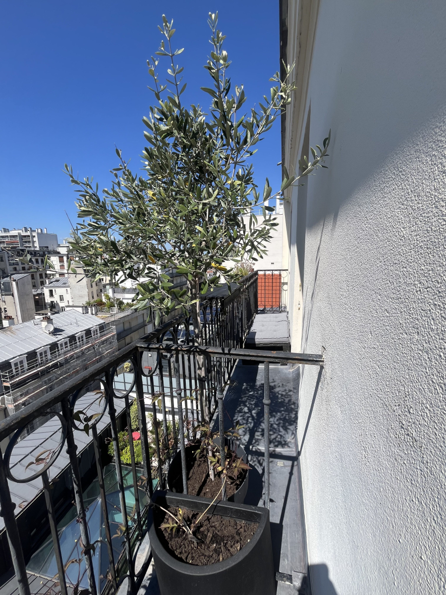 Location Appartement  2 pièces - 32.75m² 75015 Paris