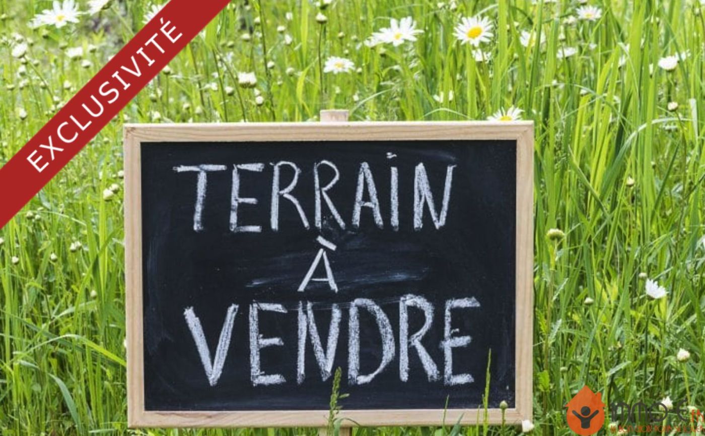 Agence immobilière de IMMO-E